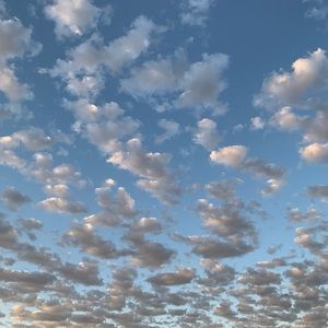 Meet your Posher, Carley